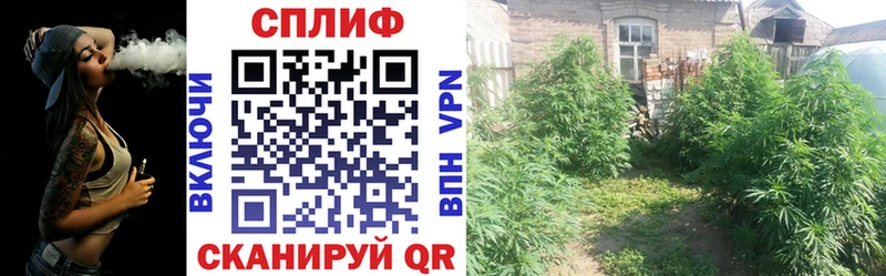 МАРИХУАНА OG Kush  kraken рабочий сайт  Хилок 